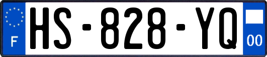 HS-828-YQ