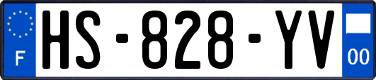 HS-828-YV