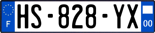 HS-828-YX