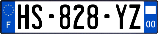 HS-828-YZ
