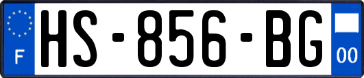 HS-856-BG