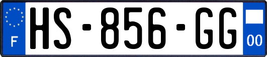 HS-856-GG