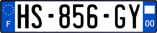 HS-856-GY