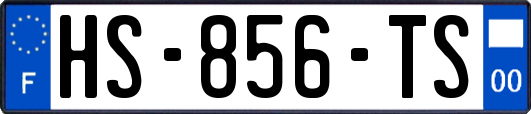 HS-856-TS