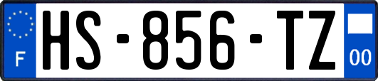 HS-856-TZ