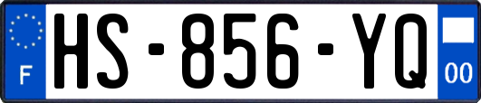 HS-856-YQ