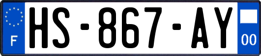 HS-867-AY