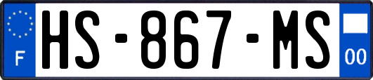 HS-867-MS
