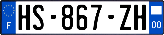 HS-867-ZH