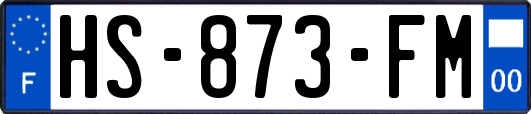 HS-873-FM