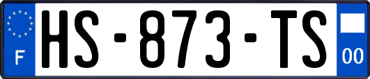 HS-873-TS
