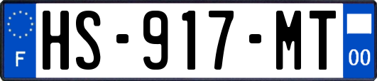 HS-917-MT
