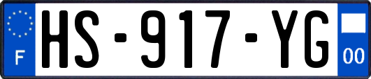 HS-917-YG