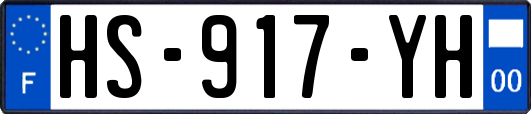 HS-917-YH