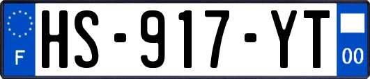 HS-917-YT