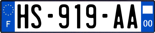 HS-919-AA