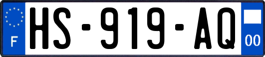 HS-919-AQ