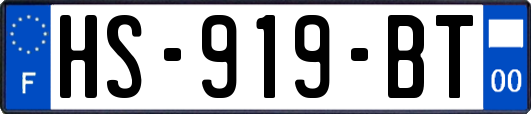 HS-919-BT