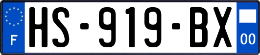 HS-919-BX