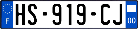 HS-919-CJ