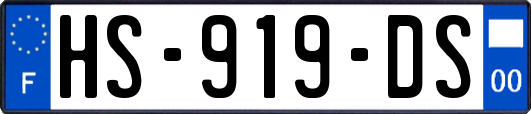 HS-919-DS
