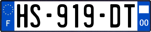 HS-919-DT