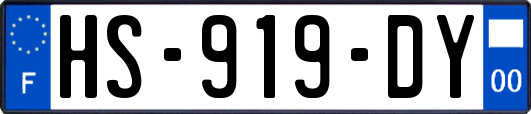 HS-919-DY