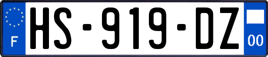 HS-919-DZ