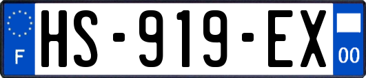 HS-919-EX