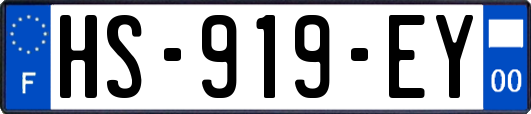 HS-919-EY