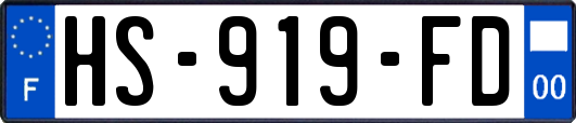 HS-919-FD