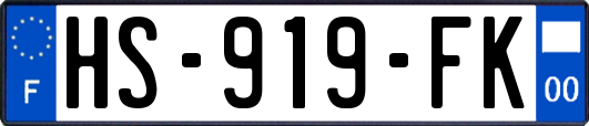 HS-919-FK