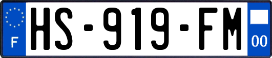 HS-919-FM