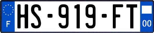 HS-919-FT
