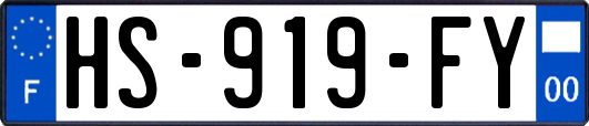 HS-919-FY