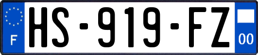 HS-919-FZ
