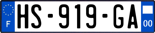 HS-919-GA