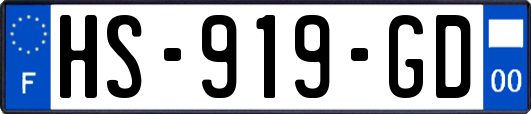 HS-919-GD