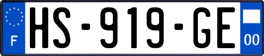 HS-919-GE