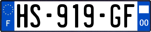 HS-919-GF