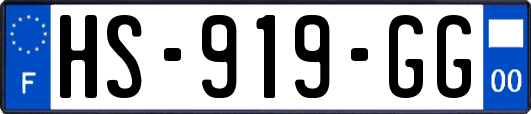 HS-919-GG