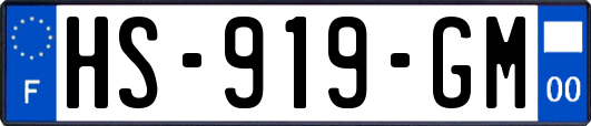 HS-919-GM