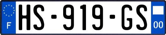 HS-919-GS
