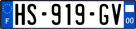 HS-919-GV