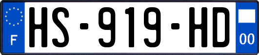 HS-919-HD