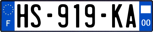 HS-919-KA