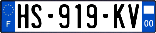 HS-919-KV