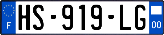 HS-919-LG