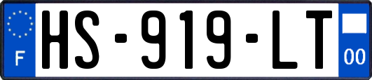 HS-919-LT