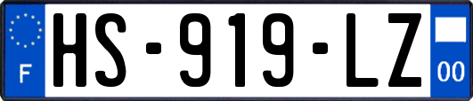 HS-919-LZ
